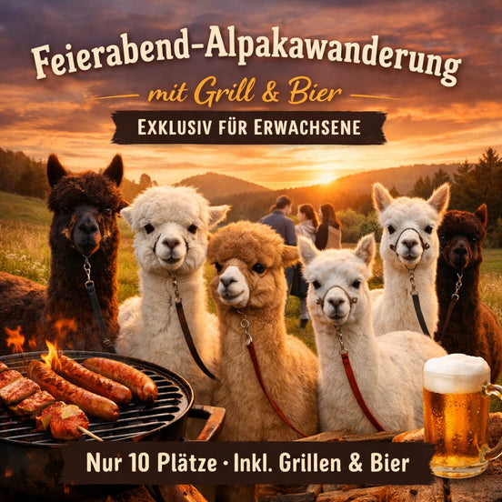 Feierabendwanderung mit Alpakas und Grillen und Bier
