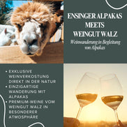 Weinwanderung mit Alpakas in Ensingen – Natur & Premium-Weine erleben