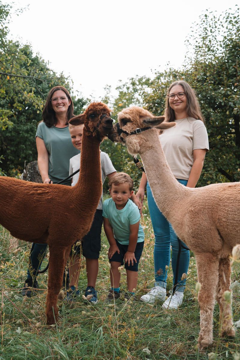 Fotoshooting einer Familie mit zwei Alpakas