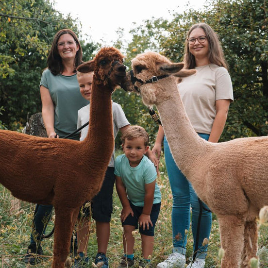 Fotoshooting einer Familie mit zwei Alpakas