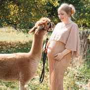 Fotoshooting einer schwangeren Frau mit einem Alpaka