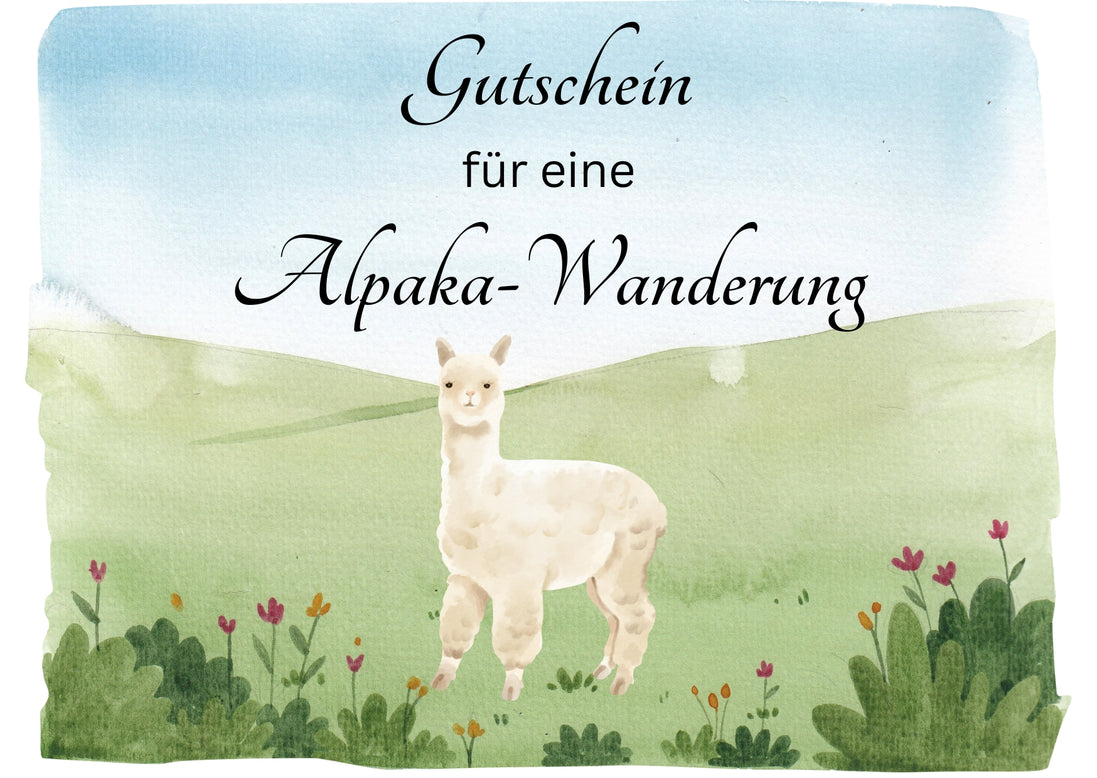 Gutschein für Alpaka-Erlebnisse und mehr