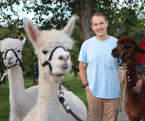 Patrick Stellmach mit drei Alpakas