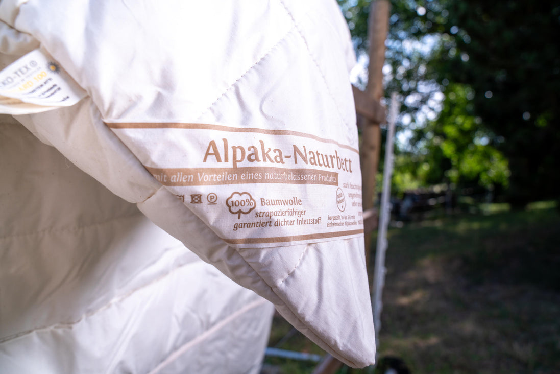 Premium Alpaka Kopfkissen 80x80cm