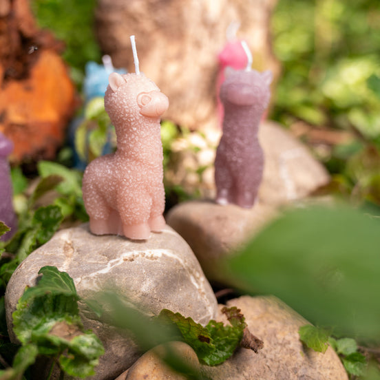 handgemachte Alpakakerze