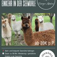 Alpakawanderung mit Einkehr in der Seemühle
