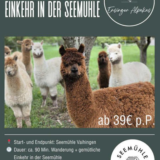 Alpakawanderung mit Einkehr in der Seemühle