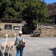 Alpakawanderung mit Einkehr in der Seemühle