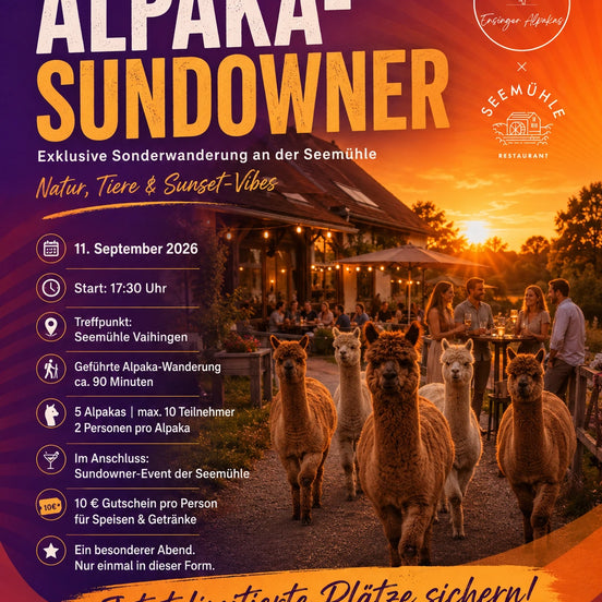 Alpaca hike with a stop at the Seemühle Vaihingen for the sundowner event