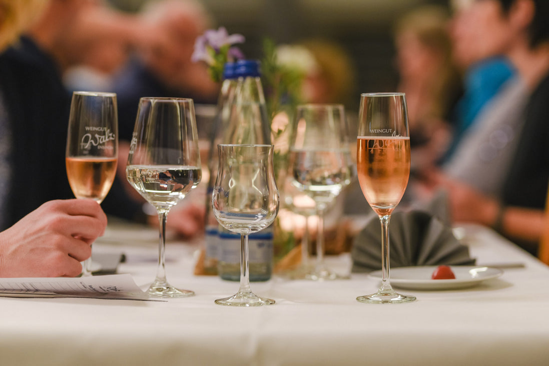 Weinwanderung mit Alpakas in Ensingen – Natur & Premium-Weine erleben